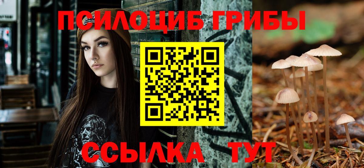 Галлюциногенные грибы MAGIC MUSHROOMS Кандалакша